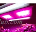 California Lightworks Solarstorm 440W LED Grow Light Fixture UVB Tubes | CLW0300   